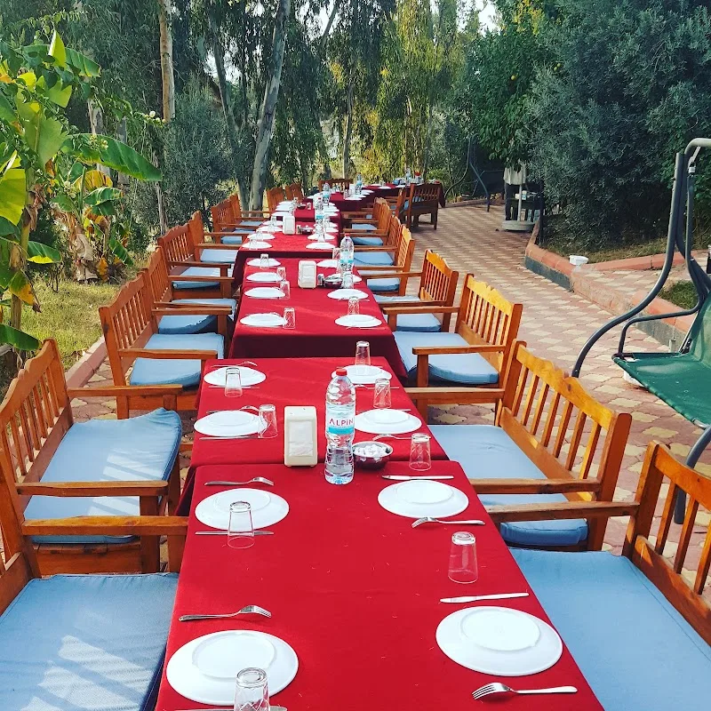 Asmalı Aile Çaybahçesi