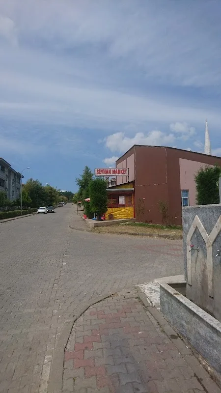 Seyhan Market