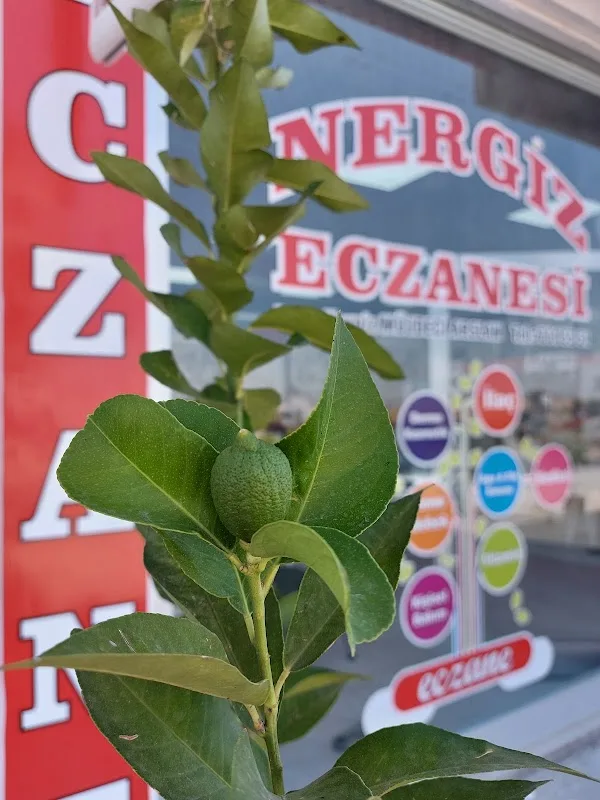 Nergiz Eczanesi