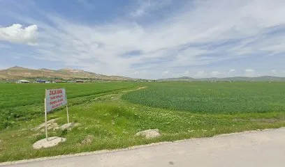 Yeni Kovancılar Eczanesi