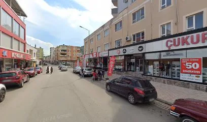 Kozan bilim sanat merkezi ve anaokulu