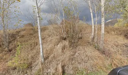 esin eczane