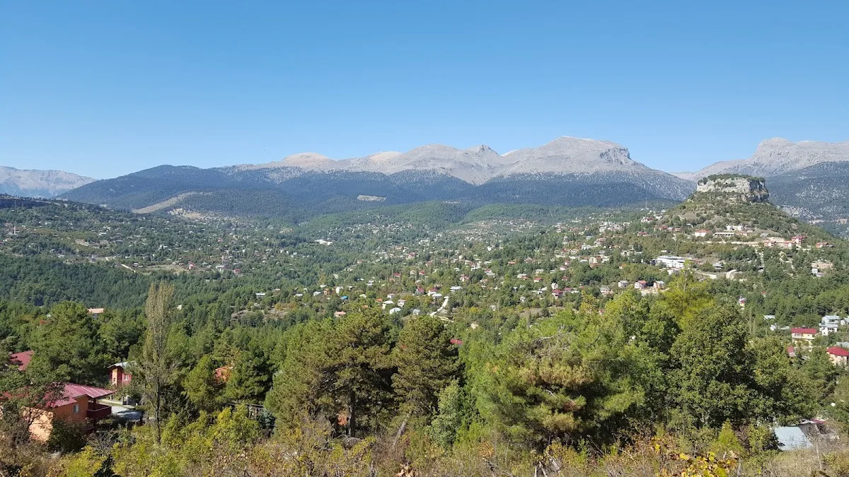 Çamlıyayla