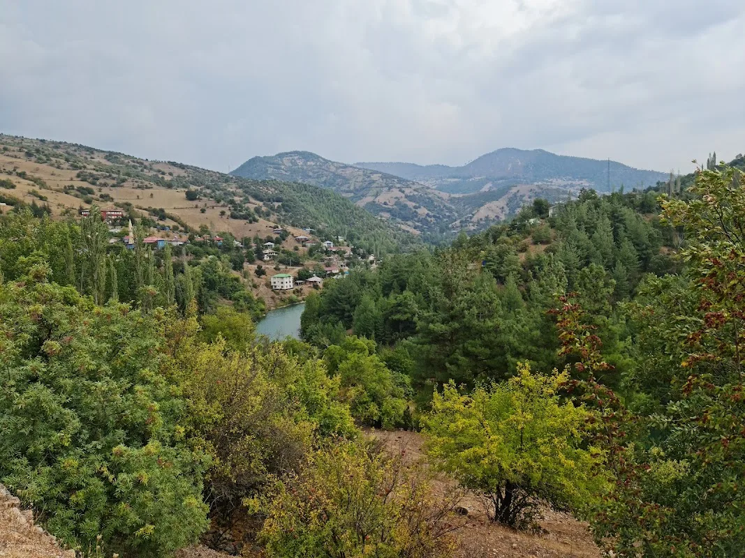 Himmetli İlkokulu