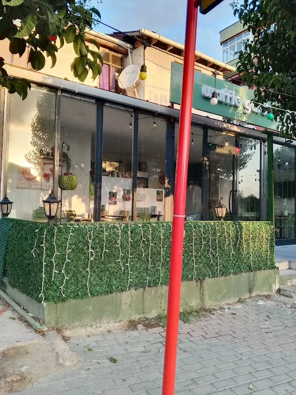 Waffle Garden