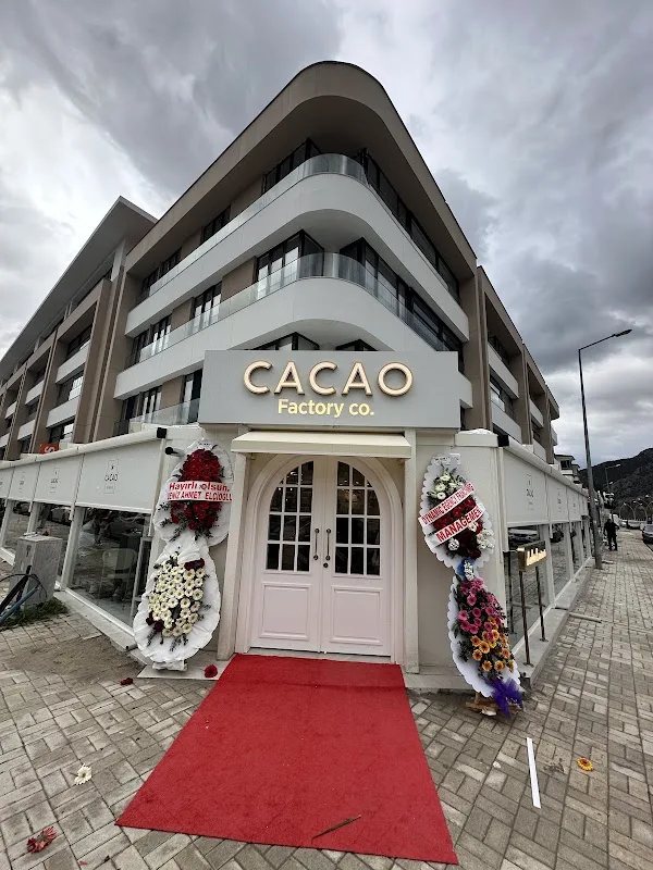 Cacao Factory Co Amasya