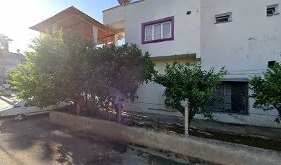 Kozan zirve sürücü kursu