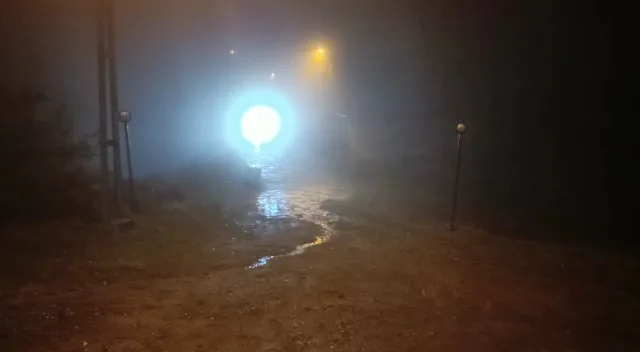 Videolar