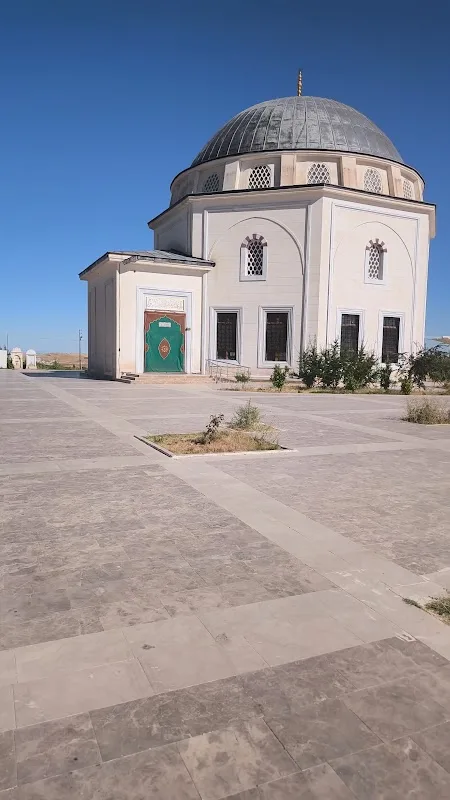 Videolar