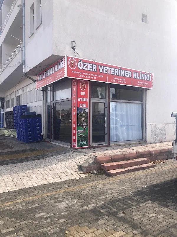 Papatya Eczanesi