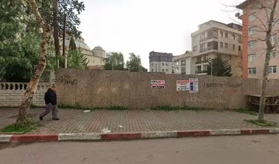 PROJE MARKET
