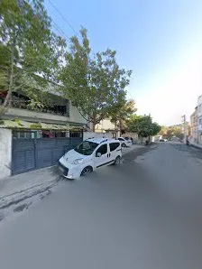 Tümü