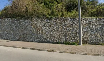 Kızılay-çınarcık Şubesi