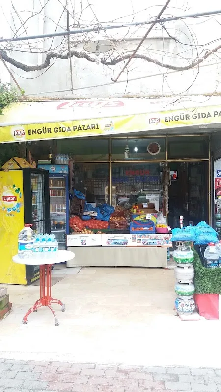 Engür Gıda