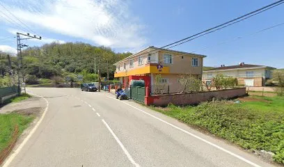 Şok Mini