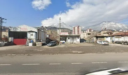 Özlem Oto Elektrik