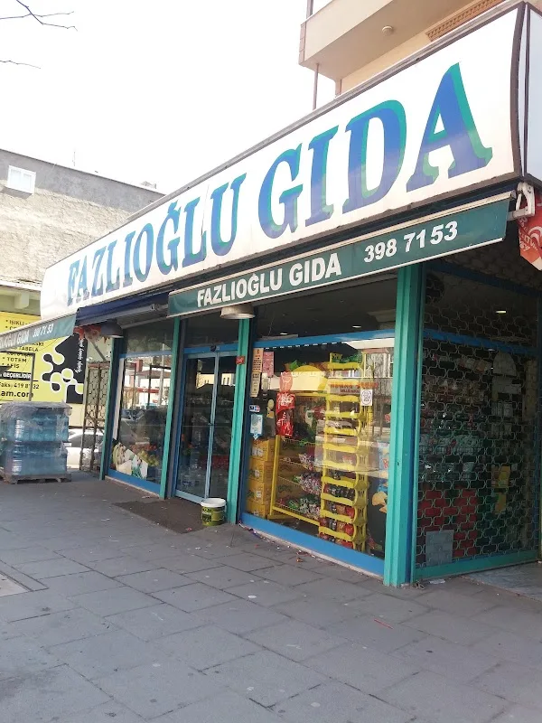 FAZLIOĞLU GIDA