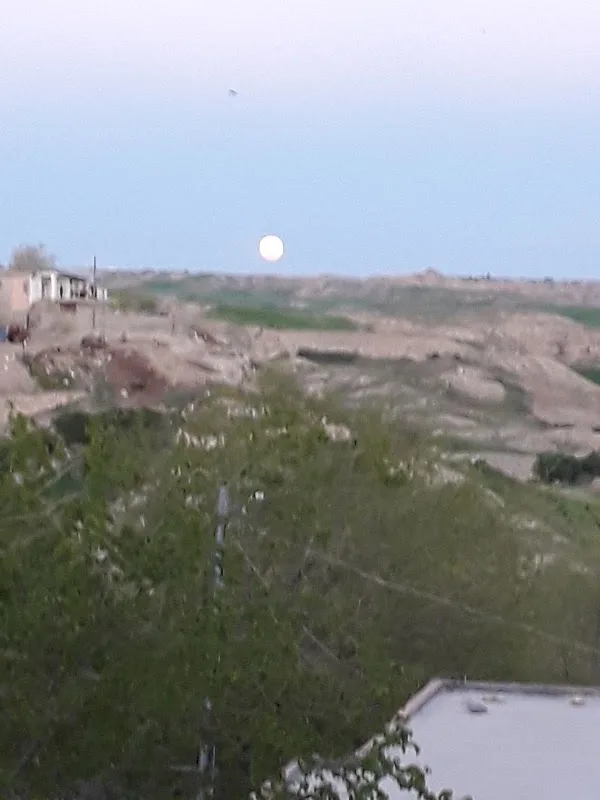 Hastane Park