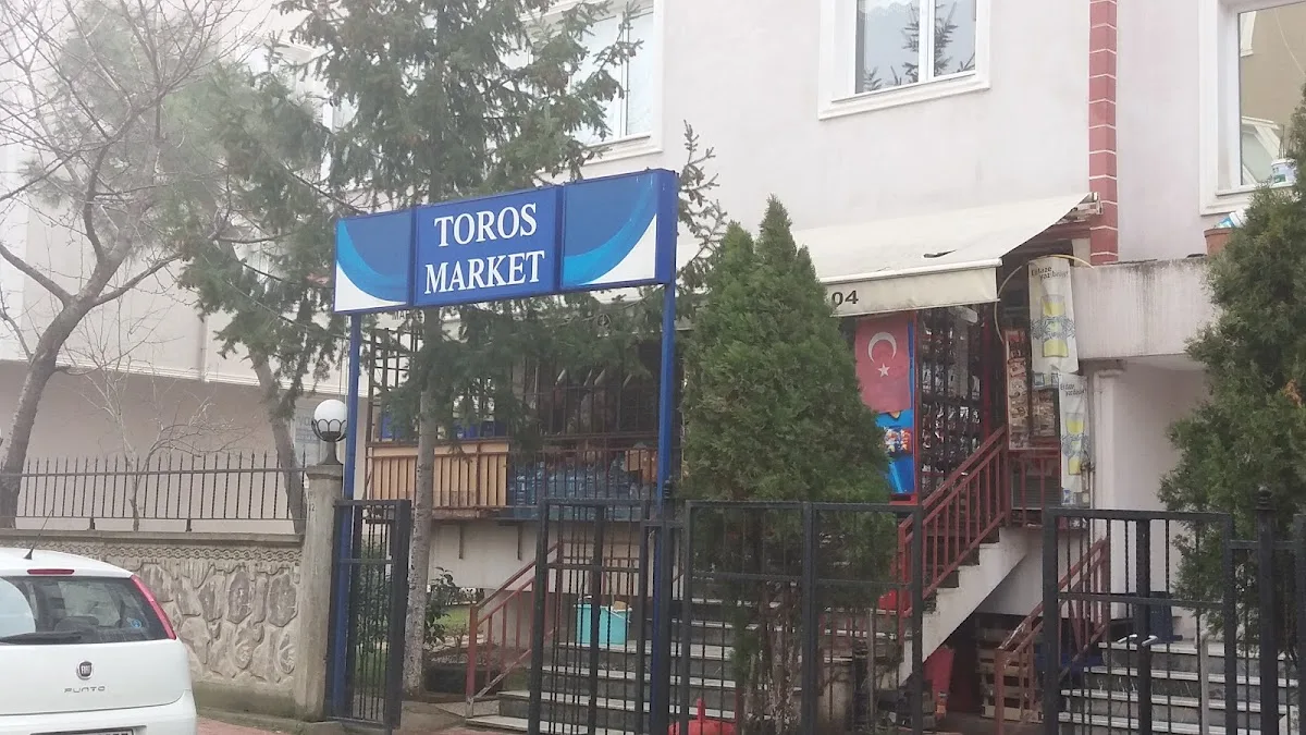 Toros Market
