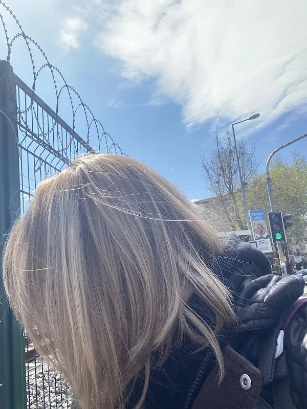 THE HAIR DOT