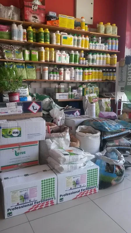 Pazar Alanı