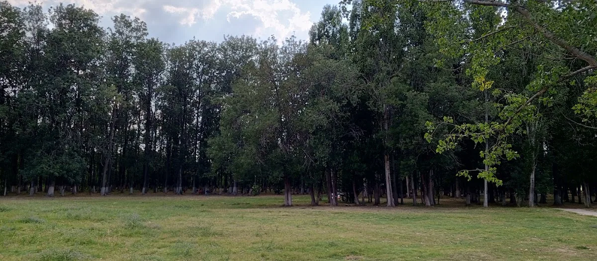 Ali Kaleli piknik alanı