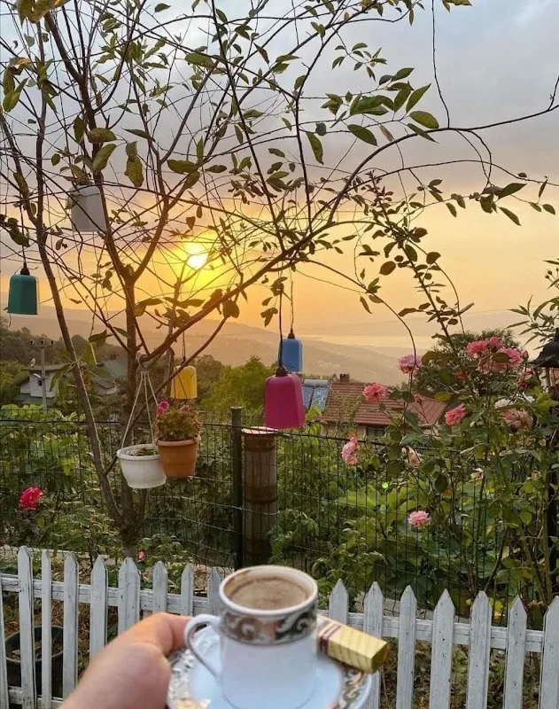 Nazlı İnternetcafe