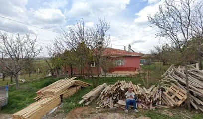 Leone Ülkü Ocakları