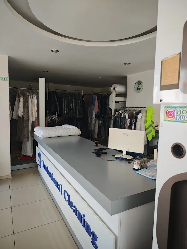 Adana Homedry Kuru Temizleme