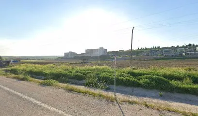 Uğur cayırı