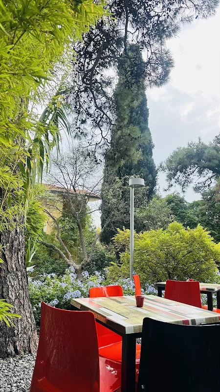Bahçede Sinek Kafe