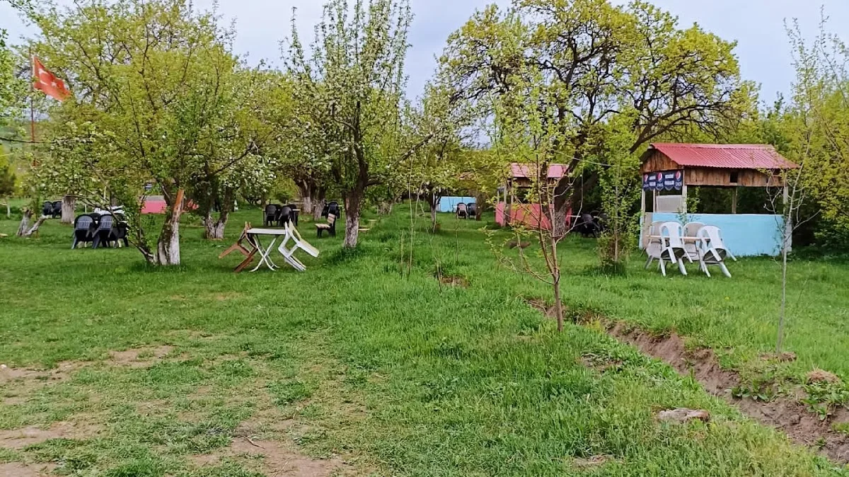Kesik köprü Piknik Alanı