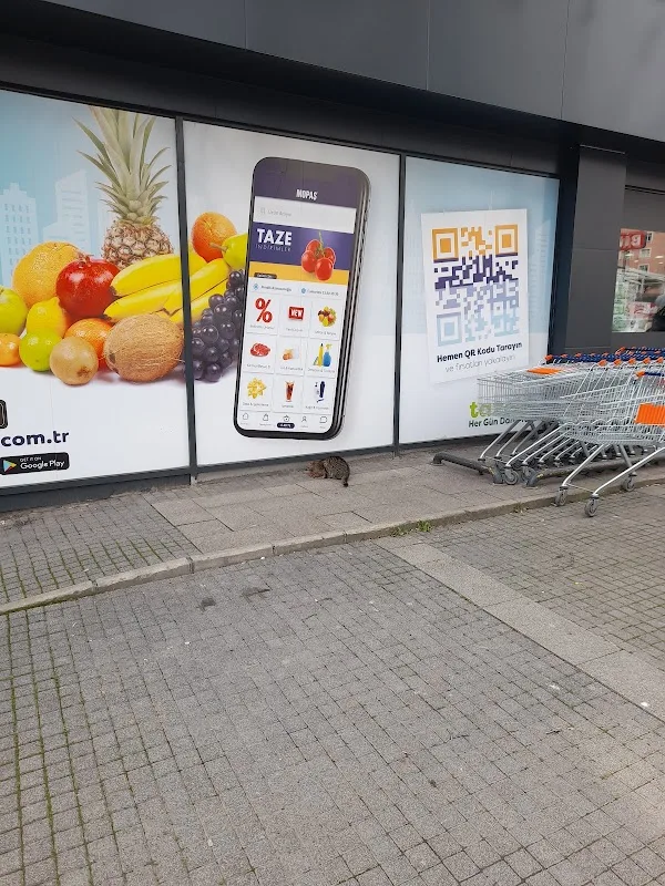 Yakacık İnci Eczanesi
